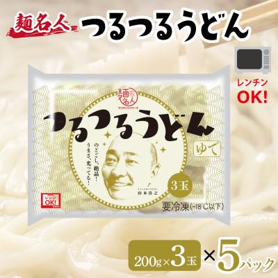 ふるさと納税 泉佐野市 麺名人 つるつるうどん 15食 個包装 099H2513