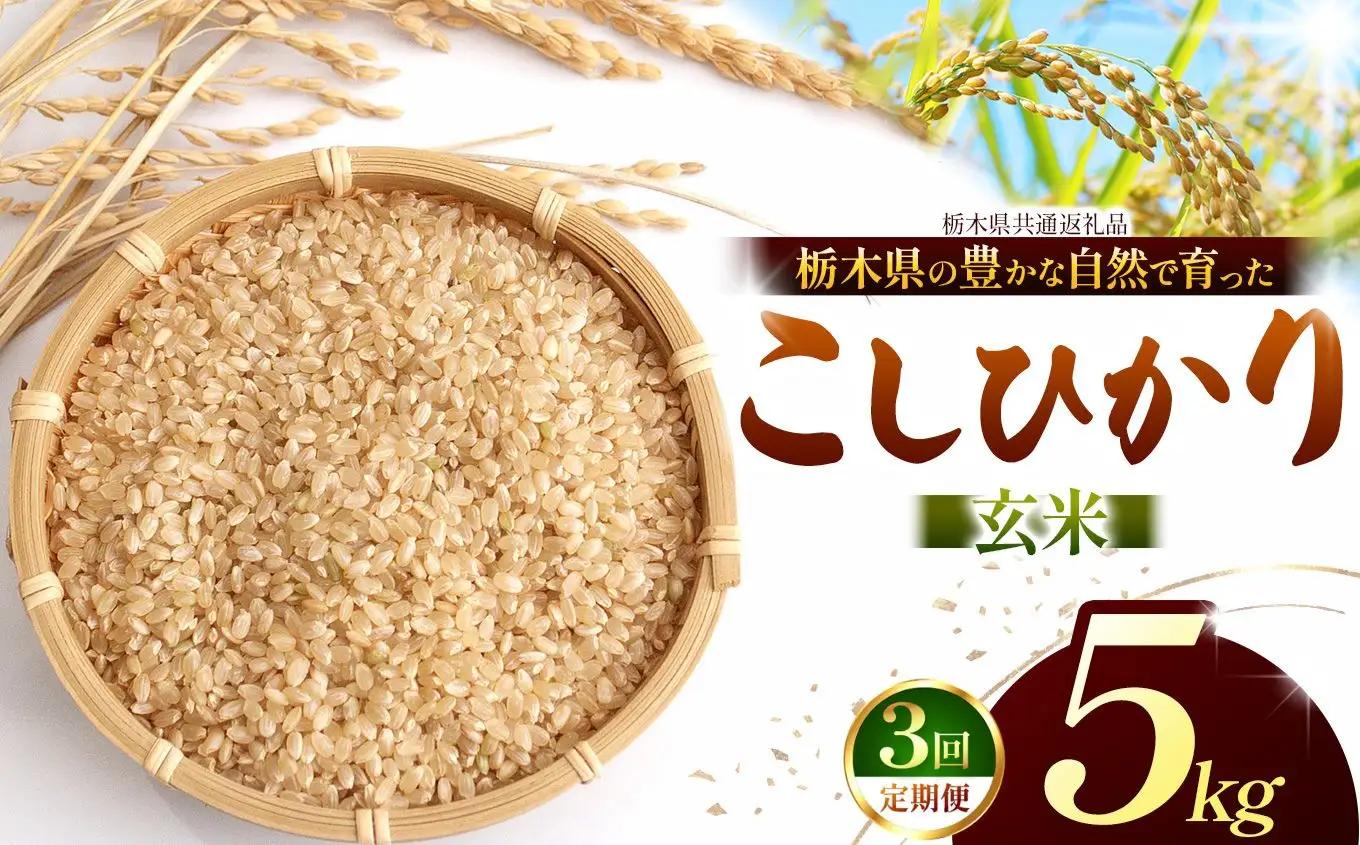 【栃木県共通返礼品】【定期3回】【令和８年度産】コシヒカリ 5kg お米  米 | 栃木県 那珂川町 送料無料