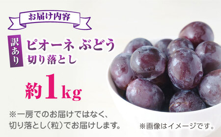 【先行予約】訳あり ピオーネ ぶどう 切り落とし 約1kg  【合同会社 社方園】ピオーネ 切り落とし 1kg ぶどう 季節限定 ピオーネ 葡萄 [ZBZ007]