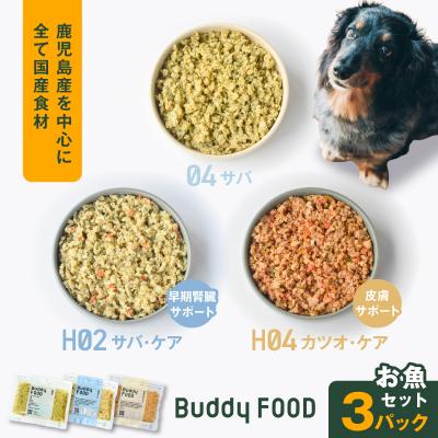 ふるさと納税 鹿児島市 Buddy FOOD お魚セット 3種3パック　K390-002_18