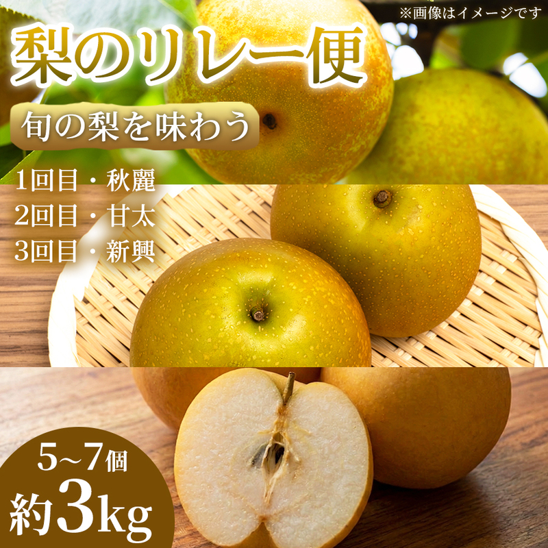 【旬の梨を味わう】熊本県産 リレー便(各5～7個 )(約3kg)(1回目)秋麗(2回目)甘太(3回目)新興 梨 フルーツ 詰め合わせ 食べ比べ 甘い 濃厚 農家直送 ギフト 贈答用 家庭用 お取り寄せ