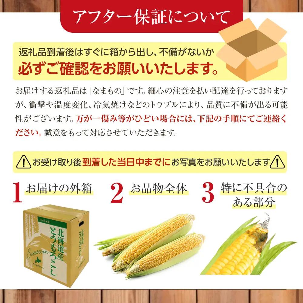 【先行予約】朝採り　とうもろこし　ゴールドラッシュ　4.2kg（M～Lサイズ× 13本）（2026年8月中旬から順次発送）| とうもろこし 北海道産 _04658
