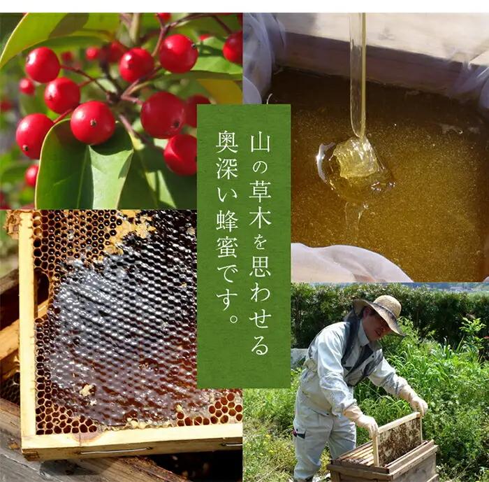 【全3回】 定期便 かの蜂 国産 もち蜂蜜 合計3kg（とんがり容器1kgを毎月1本お届け）　024-T017 
