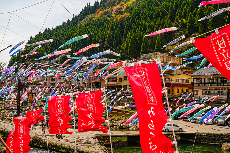 【令和7年度受付】名入れ鯉のぼり掲揚権（杖立温泉鯉のぼり祭）