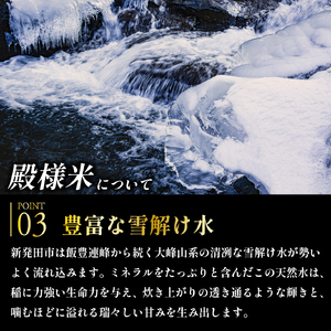 新米予約 新潟県産 越後菅谷殿様米 5㎏ 令和6年産 新潟県産 新発田産 米 5kg 越後菅谷 殿様米 コシヒカリ D05_03 