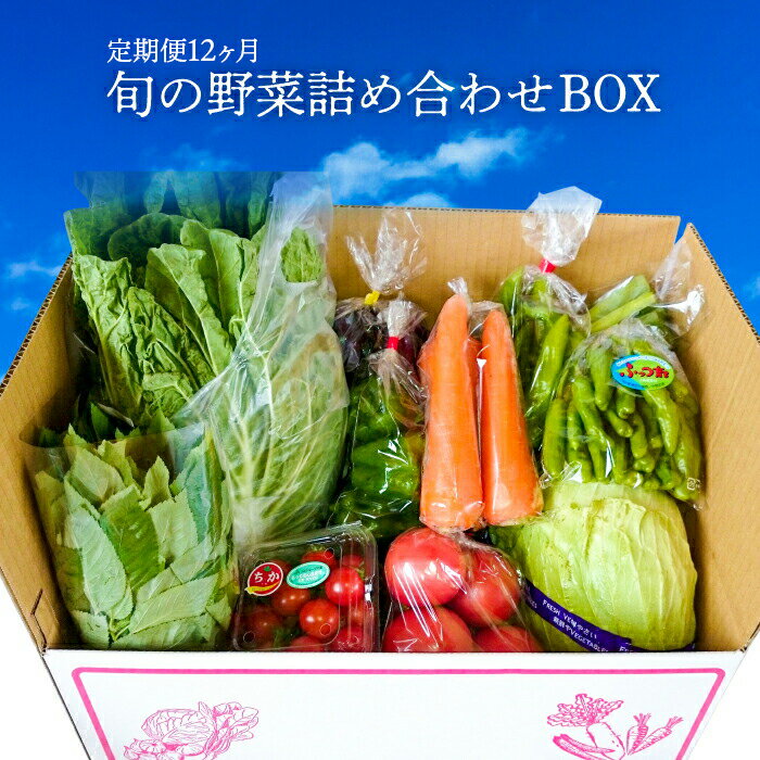 【ふるさと納税】野菜 旬 おすすめ 新鮮 詰め合わせ 定期便 12ヶ月 毎月1回 計12回 1年間 セット 千葉県 国産 地場産 農産物 農作物 BOX 産地直送 詰合せ お楽しみ JA トレーサビリティ 2026年1月～12月発送