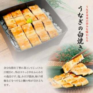 田野町産うなぎの蒲焼き(大)+うなぎの白焼き(大) 各2尾×3回 定期便 3ヶ月 定期コース 1尾あたり120～150g タレ付き 山椒付き うなぎ 鰻 ウナギ 蒲焼き かば焼き 白焼 国産 冷凍 配
