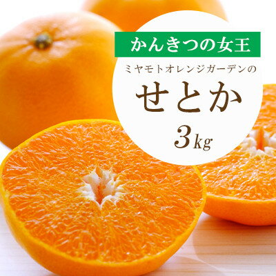 【ふるさと納税】【2026年2月以降発送】とろける濃厚柑橘 せとか 3kg 愛媛県八幡浜産【D25-9】_ みかん ミカン 柑橘 フルーツ 果物 くだもの 青果 せとか 愛媛 産直 産地直送 国産 甘い 濃厚 ジューシー 旬 希少 【1268365】