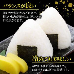 金色の風 精米 5kg 岩手県産 米 白米 こんじきのかぜ はくまい お米 コメ rice ごはん 常温 常温保存 保存 農家 農作物 栄養 夕飯 大船渡 三陸 岩手県 国産