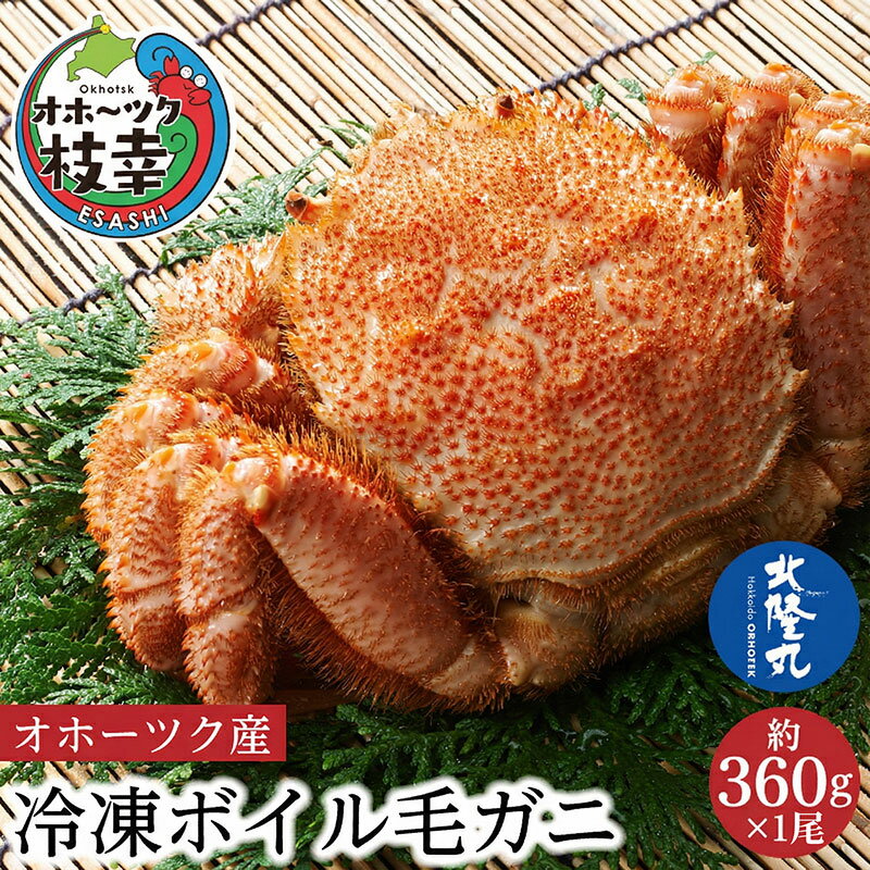 【ふるさと納税】オホーツク産 北隆丸 冷凍ボイル 毛ガニ 約360g×1尾【 カニ かに 蟹 毛ガニ 毛蟹 冷凍 魚貝 魚介 海鮮 北海道 オホーツク 枝幸 】