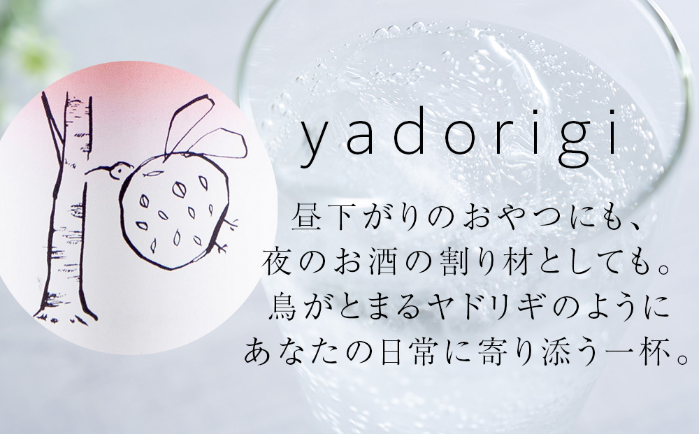 白樺樹液ソーダyadorigi（ホップとりんご）8個 北海道産 国産