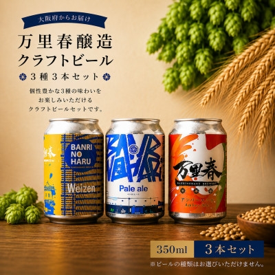 
                  ＜ブルワー厳選＞ 万里春醸造クラフトビール 3種飲み比べ3本セット【1754513】
                