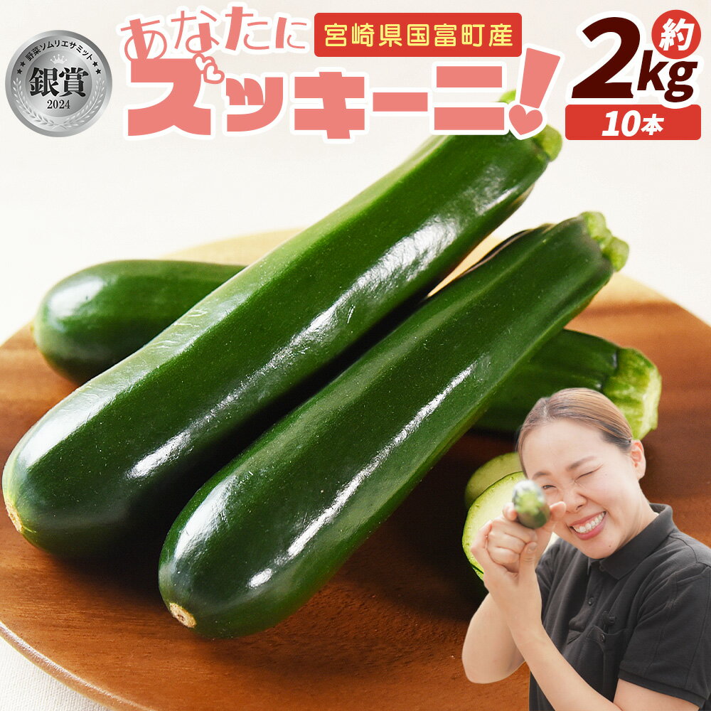 【ふるさと納税】★予約受付★＜野菜ソムリエサミット銀賞受賞！ あなたにズッキーニ約2kg（10本）＞※入金確認後、2025年10月から順次出荷します 野菜 青果 国産 生食 輪切り ソテー サラダ 天ぷら ラタトゥイユ ヒダカファーム 宮崎県 国富町 【冷蔵】