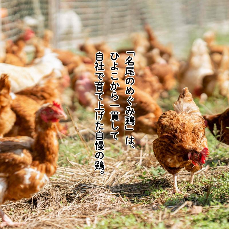 国産飼料で育てた親鶏ミンチ「名尾のめぐみ鶏」2.5kg（500g×5P） 鶏肉 親鶏 ミンチ ひき肉 冷凍：B285-008_イメージ2