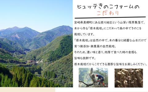 宮崎県産 極上 干し椎茸 30g 干し 椎茸 40g なば節 20g きのこ 専用醤油 100ml セット [ HUTTE 宮崎県 美郷町 31ao0019] しいたけ 出汁 ?油 昆布 贈答用 オー