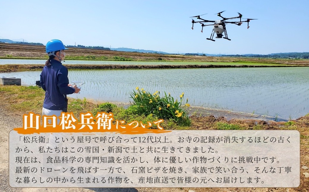 魚沼産ブランドの規定よりも贅沢で大粒をよりすぐり 山口松兵衛農園のコシヒカリ