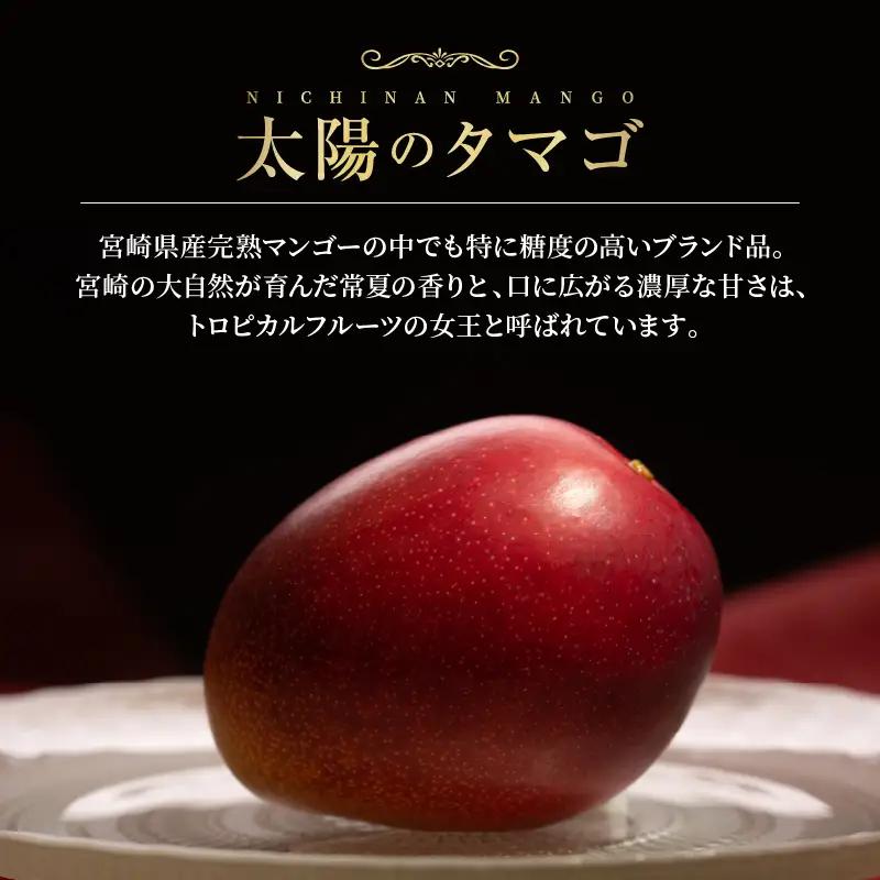 オンライン決済限定 完熟マンゴー 太陽のタマゴ 赤秀品 4L × 2玉 期間限定 数量限定 マンゴー 宮崎 フルーツ 果物 くだもの 国産 食品 先行予約 2026 令和8年発送 濃厚 デザート おや