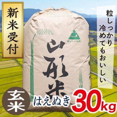 ふるさと納税 最上町 【令和7年産先行受付】山形県産はえぬき30kg(玄米)