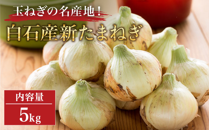 【玉ねぎの名産地！】白石産 新たまねぎ 約2kg【道の駅しろいしカンパニー】タマネギ [IAA030]