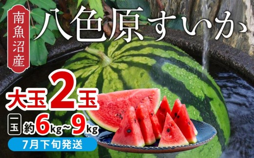 【先行予約】【新潟県 南魚沼産】八色原すいか大玉２玉【西瓜 スイカ すいか 大玉 季節限定 果物 フルーツ ギフト 名産地 産地直送 シャキシャキ 厳選 デザート 新潟県】【2026年7月下旬発送】【お届け日時指定不可】