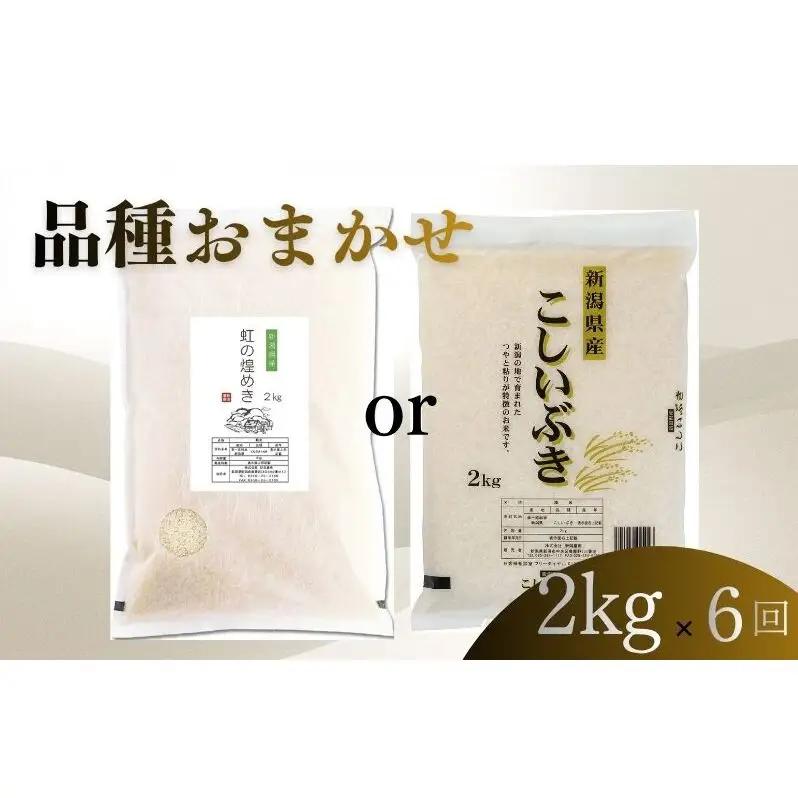 【6月下旬より配送】 新潟県産 品種おまかせ 2kg  6か月定期便 新潟県 新潟市産 令和7年産 お米 精米 米 ご飯 送料無料