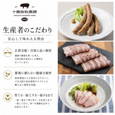 十勝放牧黒豚 極上バルセット	 7種入り(ソーセージ、ハンバーグ、ベーコン、ハム、ラクレットチーズ)【配送不可地域：離島】