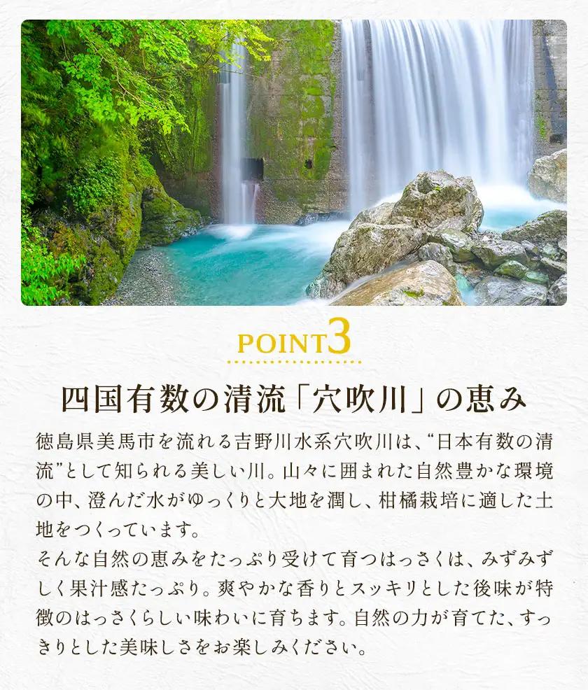 八朔 はっさく 訳あり サイズ不選別 おすそ分け 計8kg(4kg×2箱)