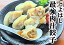 【ふるさと納税】とよはし『最強肉汁餃子』