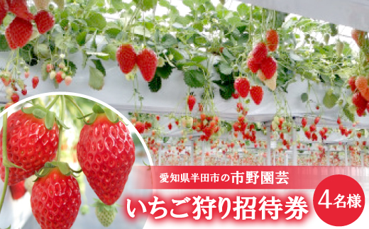 
                  【愛知県半田市の市野園芸】いちご狩り招待券4名様【1402966】
                
