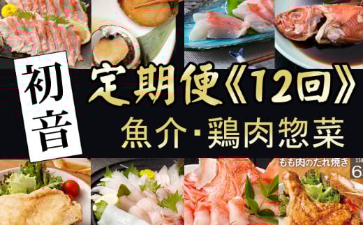 
                  【 12回 定期便 】 初音 毎月 定期便  ! 毎月届く 肉 魚 海鮮 魚介 惣菜 刺身 刺し身 さしみ 加工品 おかず ごはん 夕飯 冷凍 簡単 調理 二人暮らし 冷凍 頒布会 人気 おすすめ 料理 うなぎ 鰻 金目鯛 きんめだい レトルト レンジ レンチン 12ヶ月 定期便惣菜 定期便料理 定期便12回 定期便海鮮 定期便肉 定期便バラエティ 頒布会 高知県 室戸市
                