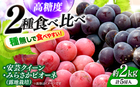 【先行予約】ぶどう みらさかピオーネ2房＆安芸クイーン3房 ＜8月下旬頃から順次発送＞[APBE005] ピオーネ ぶどう