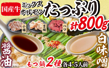 「上田商店」工場直販 もつ鍋(醤油・白味噌/各4-5人前) 吉富町/株式会社吉浦コーポレーション[BGAD058]