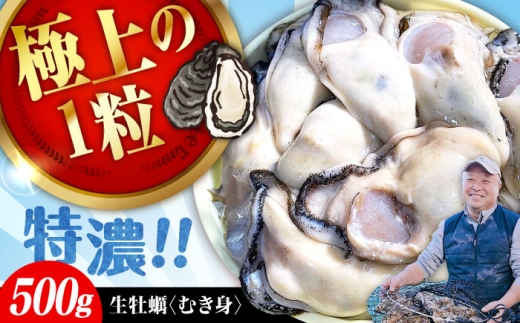 【3月17日(水) 着】加熱用生牡蠣 むき身 500g 広島県江田島市／有限会社テツマル海産[XCO001-050]