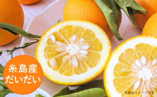 糸島産だいだいとゆずのお酒 500ml×4本セット 糸島市 / 山口食品工業株式会社 [ABI003] リキュール アルコール 柑橘系 糸島 チューハイ 炭酸割 水割り 果実