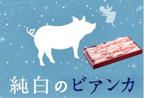 
純白のビアンカ 豚バラしゃぶしゃぶ用 500g 豚肉 透き通るような 白い脂身 歯切れの良い 肉質 香り高い 上品な甘み 1D02007
