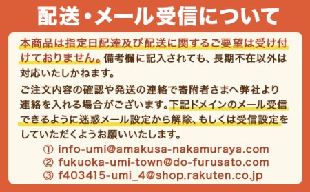 うまかっちゃん からし高菜風味 合計30袋（5袋×6P）ラーメン とんこつラーメン とんこつ 袋ラーメン　TY024