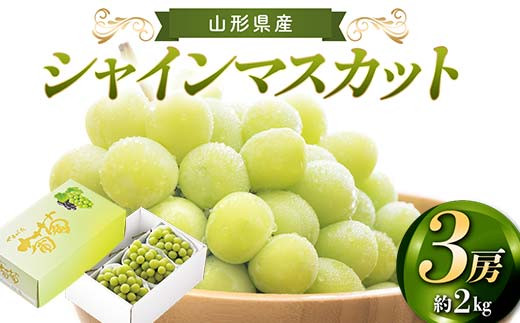 【先行予約 2025年度発送】山形県産 シャインマスカット 3房 約2kg  マスカット ぶどう ブドウ 葡萄 デザート フルーツ 果物 くだもの 果実 食品 山形県 FSY-2185
