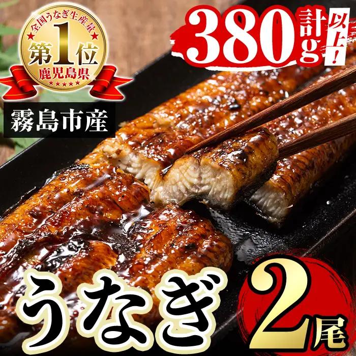 A5-034-RT 数量限定！特別サイズ！霧島産うなぎ蒲焼き計380g以上(190g超×2尾)【田代水産】霧島市 国産 鹿児島県産 うなぎ 鰻 ウナギ 高級 蒲焼き 蒲焼 かばやき タレ