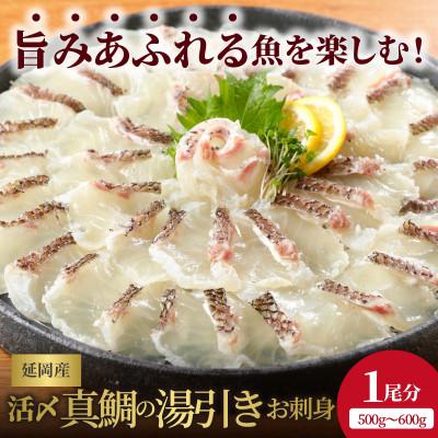 ふるさと納税 延岡市 延岡産活〆真鯛の湯引きお刺身 約500g〜600g