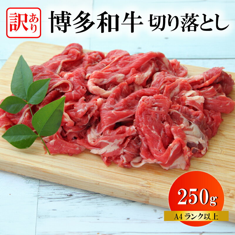 【ふるさと納税】 訳あり 国産 博多和牛 A4ランク以上 切り落とし 250g 牛肉 牛 牛丼 肉 お肉 博多 和牛 黒毛和牛 肉じゃが 冷凍 訳あり ふるさと納税 牛肉 ふるさと納税 訳あり 牛肉切り落とし 福岡県 川崎町 ふるさと納税 肉