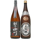 【ふるさと納税】日本酒 一升 飲み比べ 1.8L 新潟 C1-A9大吟醸飲み比べセット（1800ml×2本）