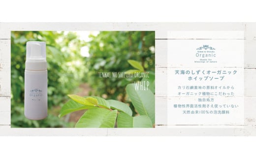天然原料100％の天海のしずくオーガニック ホイップソープ 詰替え用 | 泡 洗顔 ホイップ ソープ 詰め替え オーガニック コスメ グアバ 自家栽培 人気 おすすめ 高知県 南国市
