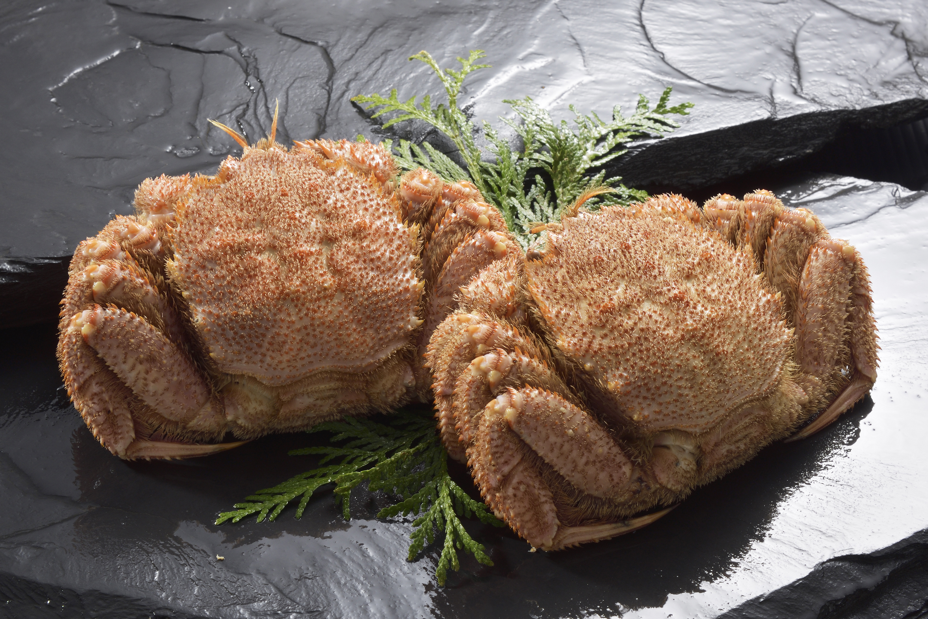 活ゆで毛蟹 2尾で750～800g【冷蔵】毛ガニ 蟹 北海道かに 北海道カニ 国産カニ かに 毛蟹 けがに