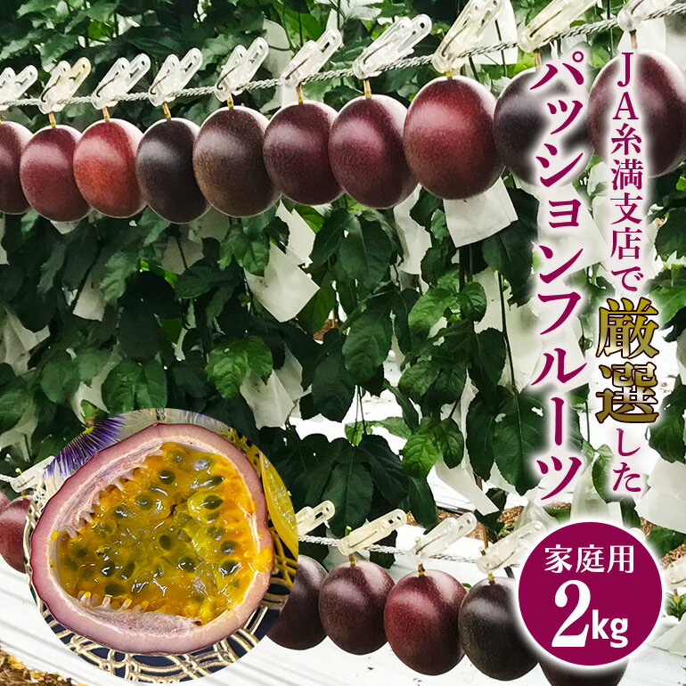 【ふるさと納税】【 先行予約 2026年 発送 】 JA糸満支店で厳選した「 パッションフルーツ 」家庭用 約 2kg 果物 フルーツ くだもの 2キロ 沖縄 果実 南国フルーツ 沖縄県産 美味しい 甘い あまい 甘み 酸味 爽やか 産地直送 農家直送 産直 沖縄県 糸満市 送料無料
