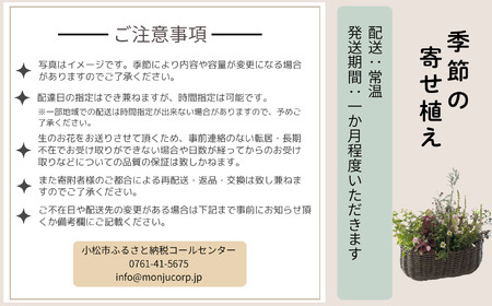 季節の寄せ植え《籐籠》花 