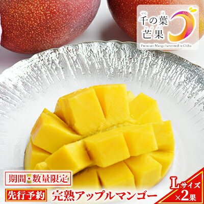 【ふるさと納税】【千の葉ライチ】完熟アップルマンゴーL×2果入 （先行予約）【マンゴー フルーツ 高級果実 国内】 果物 国産 デザート 食後 新鮮 完熟マンゴー 国産マンゴー 化粧箱入り 　お届け：2025年6月初旬～7月中旬まで