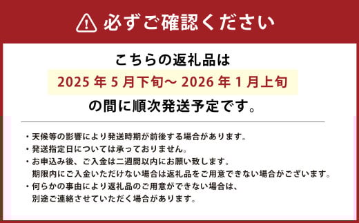 【竹田市産】高原トマト 4kg (約16～24個) 【ベジスタとまとちゃん】【2025年5月下旬-2026年1月上旬発送予定】
