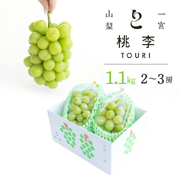 【ふるさと納税】【2026年発送★先行予約】シャインマスカット約1.1kg（2~3房） ふるさと納税 人気 おすすめ ランキング シャインマスカット 国産 人気 期間限定 ぶどう ブドウ 葡萄 旬 果物 フルーツ 山梨県 笛吹市 送料無料 122-013