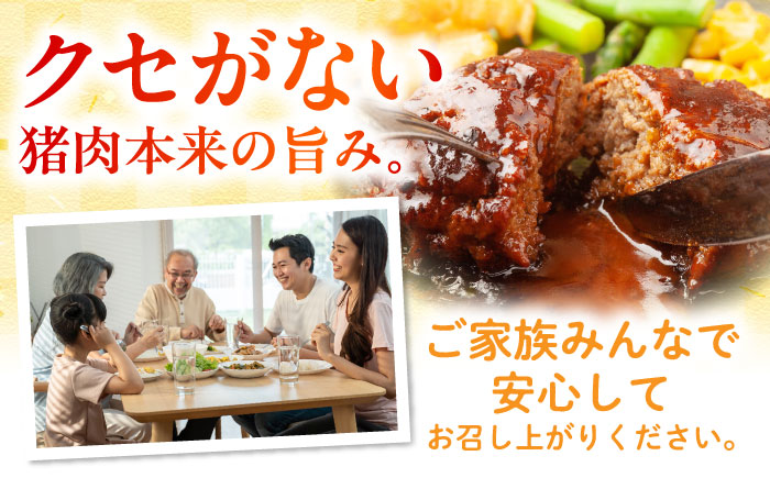 猪肉 ミンチ 1kg 雲仙いのしし / ひき肉 肉 イノシシ ジビエ いのしし ハンバーグ / 南島原市 / 株式会社高田牧場 [SDB012]