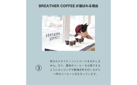 BREATHER COFFEE 珈琲飲み比べセット100g x 3袋 挽き方選択可 コーヒー 豆 極細引き エスプレッソ用 中粗挽き ペーパードリップ用 スペシャリティコーヒー お豆のまま